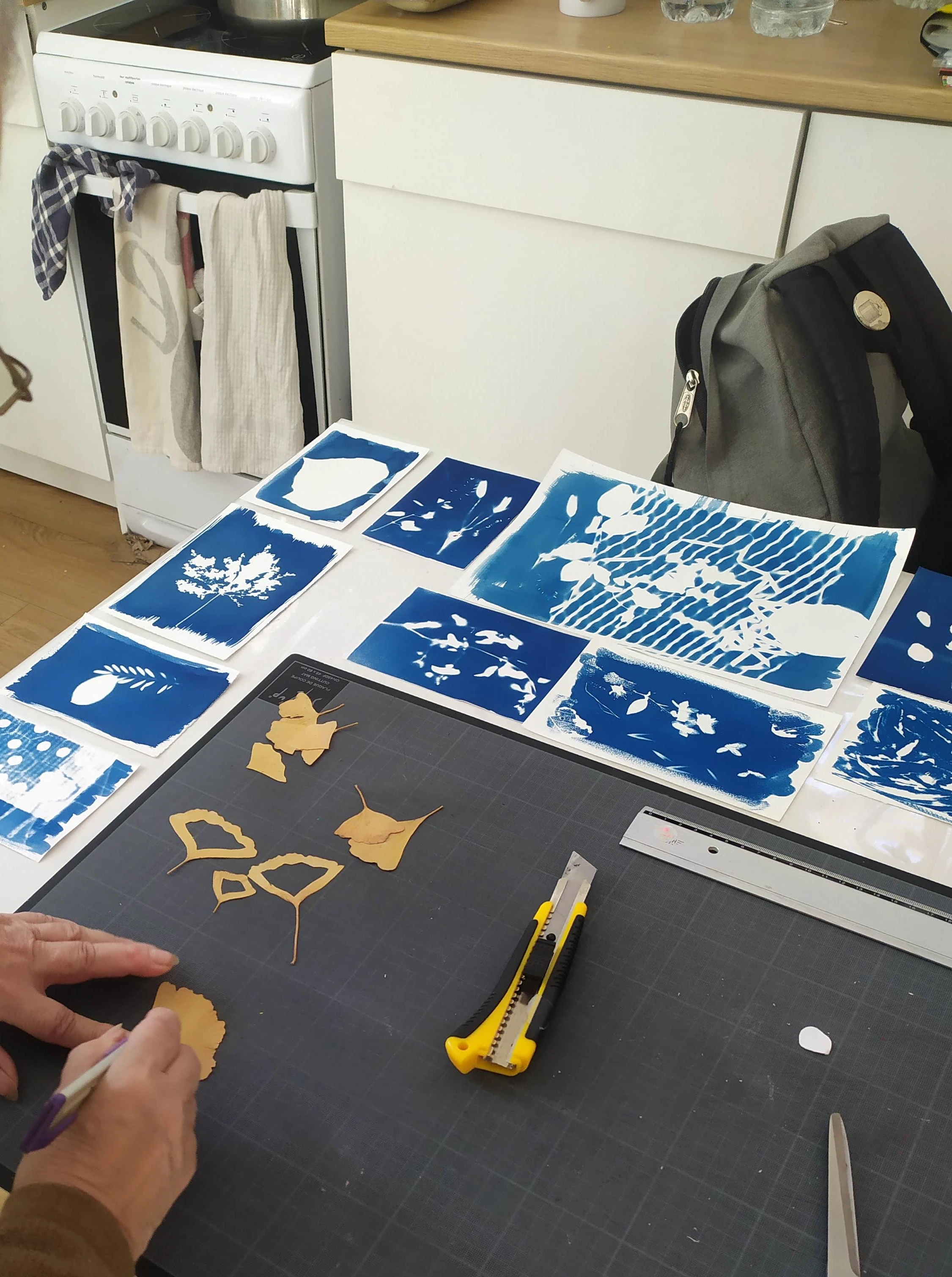 Atelier adulte : Cyanotype avec Mathilde le Crouerour à 10h